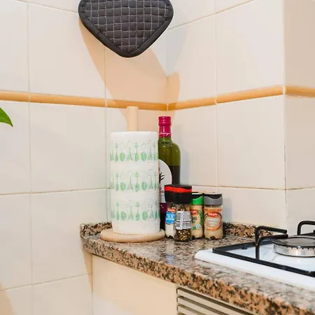 Modern 41br With Art & Tagus River Views アパート リスボン